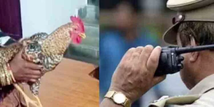കോഴിയെ കൊല്ലാന് അയല്വാസി ഗൂഢാലോചന നടത്തി ; പരാതിയുമായി യുവതി പോലീസ് സ്റ്റേഷനില് കോഴിയെ കൊല്ലാന് അയല്വാസി ഗൂഢാലോചന നടത്തി ; പരാതിയുമായി യുവതി പോലീസ് സ്റ്റേഷനില്