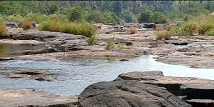 ചാലക്കുടിപ്പുഴ വറ്റി ; ജലസേചനം പ്രതിസന്ധിയില് ചാലക്കുടിപ്പുഴ വറ്റി ; ജലസേചനം പ്രതിസന്ധിയില്