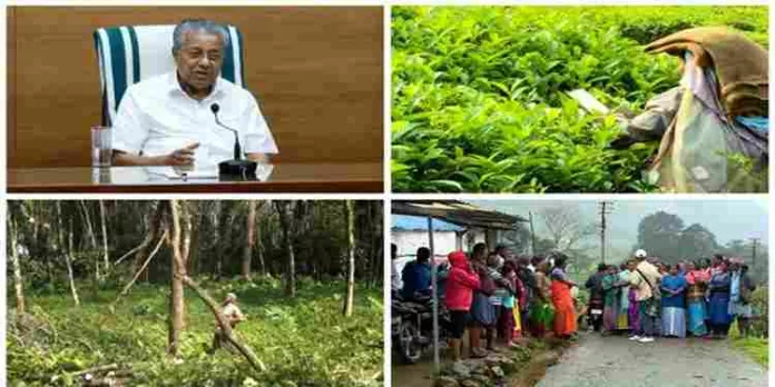 വൻകിട തോട്ടം ഉടമകൾക്ക് പ്രഖ്യാപിച്ച നികുതി ഇളവ് പ്രാബല്യത്തിൽ വൻകിട തോട്ടം ഉടമകൾക്ക് പ്രഖ്യാപിച്ച നികുതി ഇളവ് പ്രാബല്യത്തിൽ