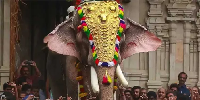 കൊമ്പൻ തെച്ചിക്കോട്ടുകാവ് രാമചന്ദ്രന് റെക്കോഡ് ഏക്ക തുക കൊമ്പൻ തെച്ചിക്കോട്ടുകാവ് രാമചന്ദ്രന് റെക്കോഡ് ഏക്ക തുക