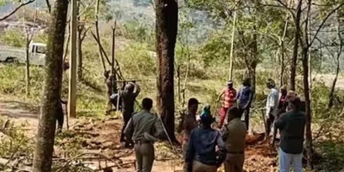 സുരക്ഷാഭീഷണി ; സ്വകാര്യഭൂമിയിൽ നിന്ന് ചന്ദനമരം പിഴുത് മാറ്റി സുരക്ഷാഭീഷണി ; സ്വകാര്യഭൂമിയിൽ നിന്ന് ചന്ദനമരം പിഴുത് മാറ്റി