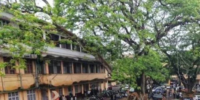 കലക്ട്രേറ്റില് ഏഴ് സ്ഥലങ്ങളിൽ ബോംബ് വെച്ചതായി ഭീഷണിക്കത്ത് എഴുതിയ അമ്മയും മകനും അറസ്റ്റില് കലക്ട്രേറ്റില് ഏഴ് സ്ഥലങ്ങളിൽ ബോംബ് വെച്ചതായി ഭീഷണിക്കത്ത് എഴുതിയ അമ്മയും മകനും അറസ്റ്റില്
