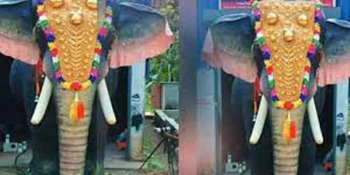 ഇരിഞ്ഞാടപ്പള്ളി ശ്രീകൃഷ്ണ ക്ഷേത്രത്തിൽ തിടമ്പേറ്റി റോബോട്ട് ആന ഇരിഞ്ഞാടപ്പള്ളി ശ്രീകൃഷ്ണ ക്ഷേത്രത്തിൽ തിടമ്പേറ്റി റോബോട്ട് ആന