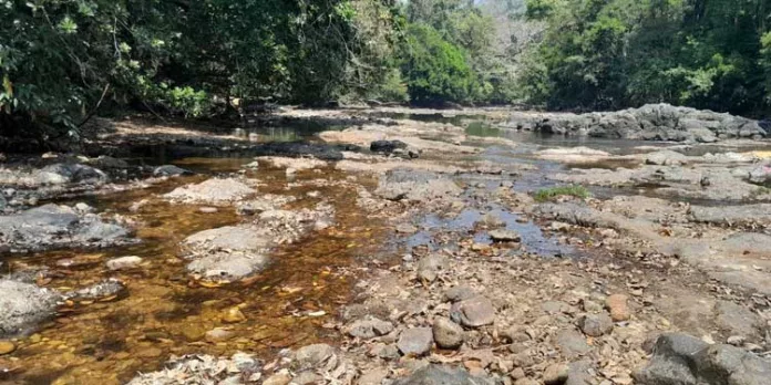 മലയോര മേഖലയിൽ കുടിവെള്ള ക്ഷാമം രൂക്ഷം മലയോര മേഖലയിൽ കുടിവെള്ള ക്ഷാമം രൂക്ഷം