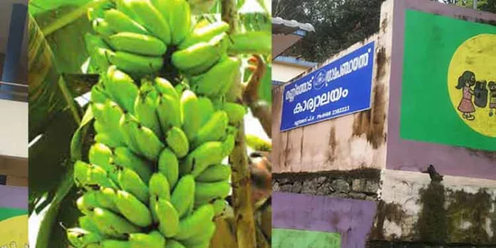 തണ്ണിത്തോട് പഞ്ചായത്ത് പ്രസിഡന്റിന്റെ നേതൃത്വത്തിൽ അഗൻവാടി വളപ്പിൽ നിന്ന വാഴക്കുലകള് വെട്ടിയ സംഭവം ; പ്രതിഷേധം ശക്തം തണ്ണിത്തോട് പഞ്ചായത്ത് പ്രസിഡന്റിന്റെ നേതൃത്വത്തിൽ അഗൻവാടി വളപ്പിൽ നിന്ന വാഴക്കുലകള് വെട്ടിയ സംഭവം ; പ്രതിഷേധം ശക്തം