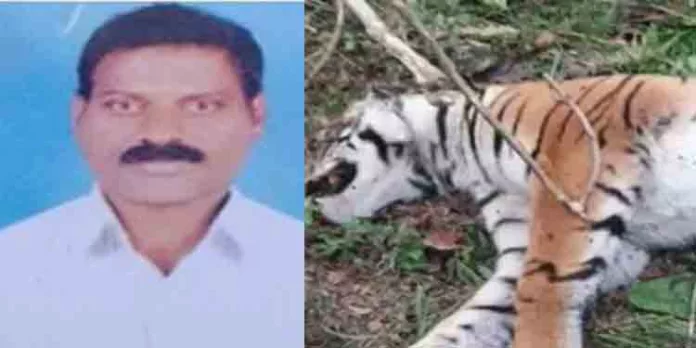 കടുവ കെണിയില് കുടുങ്ങിയത് കണ്ട കര്ഷകനെ കെട്ടി തൂങ്ങിയ നിലയില് കണ്ടെത്തി കടുവ കെണിയില് കുടുങ്ങിയത് കണ്ട കര്ഷകനെ കെട്ടി തൂങ്ങിയ നിലയില് കണ്ടെത്തി