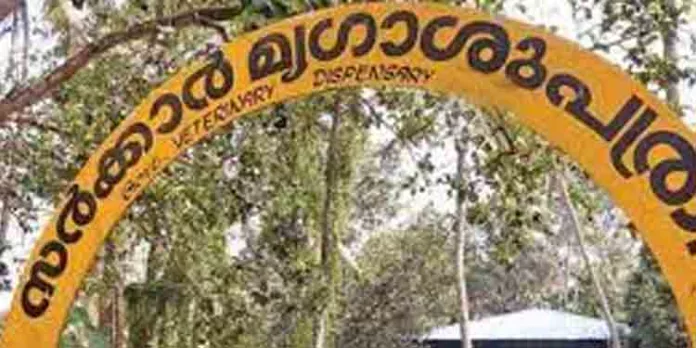 പ്രതിരോധവാക്സിനെടുത്ത പശു കുഴഞ്ഞു വീണ് ചത്തു മൃഗാശുപത്രി അധികൃതര് പരാതിയില്ലെന്ന് ബലമായി എഴുതി വാങ്ങിച്ചതായി വീട്ടമ്മ പ്രതിരോധവാക്സിനെടുത്ത പശു കുഴഞ്ഞു വീണ് ചത്തു മൃഗാശുപത്രി അധികൃതര് പരാതിയില്ലെന്ന് ബലമായി എഴുതി വാങ്ങിച്ചതായി വീട്ടമ്മ