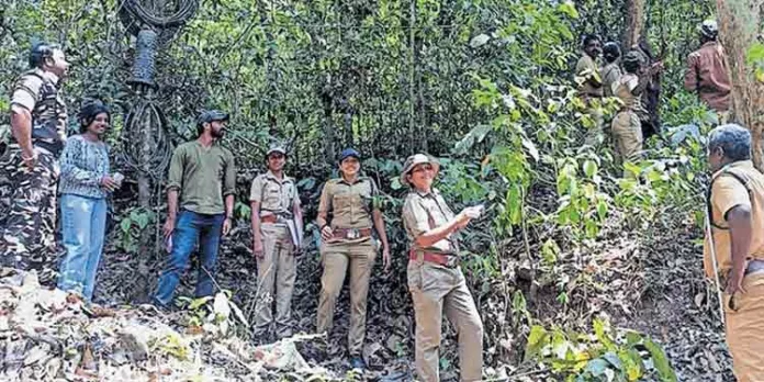 ഗ്രീൻ ഫീൽഡ് ദേശീയ പാതയുടെ നിർമാണത്തിന് ഏറ്റെടുക്കുന്നത് 4.50 ഹെക്ടർ വനഭൂമി ഗ്രീൻ ഫീൽഡ് ദേശീയ പാതയുടെ നിർമാണത്തിന് ഏറ്റെടുക്കുന്നത് 4.50 ഹെക്ടർ വനഭൂമി