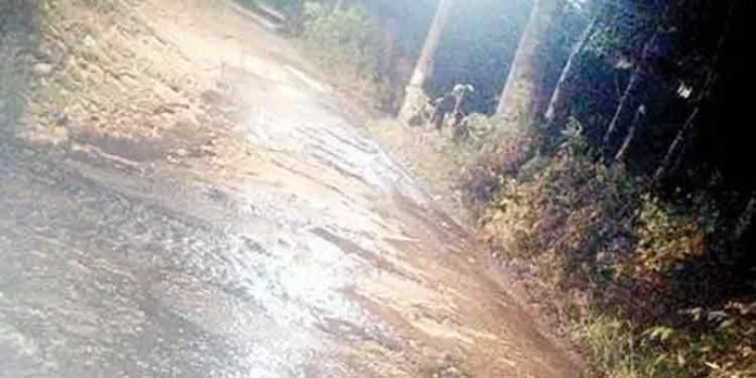 പമ്പാ ഇറിഗേഷൻ പ്രോജക്ടിന്റെ ഭാഗമായുള്ള ചെറുകനാലിൽ നിന്ന് വലിയതോതിൽ ജലം പാഴാകുന്നു പമ്പാ ഇറിഗേഷൻ പ്രോജക്ടിന്റെ ഭാഗമായുള്ള ചെറുകനാലിൽ നിന്ന് വലിയതോതിൽ ജലം പാഴാകുന്നു