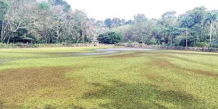വെളിച്ചം കാണാതെ പുതിയകാവിൽചിറ പദ്ധതി വെളിച്ചം കാണാതെ പുതിയകാവിൽചിറ പദ്ധതി