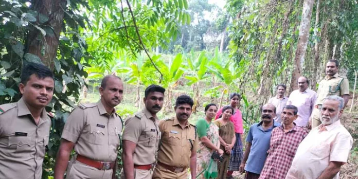 അങ്ങാടി പഞ്ചായത്തിലെ വള കൊടികാവ് ഭാഗത്ത് കാണപ്പെട്ട അജ്ഞാത ജീവി പുലിപൂച്ച എന്ന് വനപാലകർ സ്ഥിരീകരിച്ചു അങ്ങാടി പഞ്ചായത്തിലെ വള കൊടികാവ് ഭാഗത്ത് കാണപ്പെട്ട അജ്ഞാത ജീവി പുലിപൂച്ച എന്ന് വനപാലകർ സ്ഥിരീകരിച്ചു