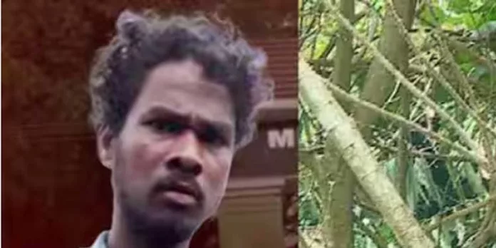 ആത്മഹത്യ ചെയ്ത ആദിവാസി യുവാവിനെതിരെ ആൾക്കൂട്ട മർദ്ദനം നടന്നതിന് പ്രാഥമിക തെളിവുകൾ ഇല്ലെന്ന് പോലീസ് ആത്മഹത്യ ചെയ്ത ആദിവാസി യുവാവിനെതിരെ ആൾക്കൂട്ട മർദ്ദനം നടന്നതിന് പ്രാഥമിക തെളിവുകൾ ഇല്ലെന്ന് പോലീസ്