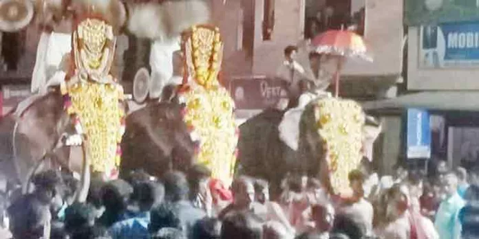 തെള്ളിയൂർക്കാവ് ഭഗവതി ക്ഷേത്രത്തിൽ തൃക്കാർത്തിക ഉത്സവം നടന്നു തെള്ളിയൂർക്കാവ് ഭഗവതി ക്ഷേത്രത്തിൽ തൃക്കാർത്തിക ഉത്സവം നടന്നു