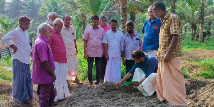 പന്തളം തെക്കേക്കരയില് കണി ഒരുക്കും ഗ്രാമം പദ്ധതി ആരംഭിച്ചു പന്തളം തെക്കേക്കരയില് കണി ഒരുക്കും ഗ്രാമം പദ്ധതി ആരംഭിച്ചു