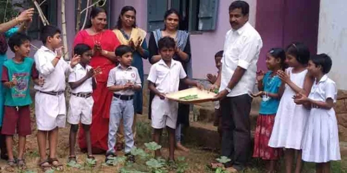 വേനലിലും വിളവെടുത്ത് തെങ്ങുംകാവ് സർക്കാർ പ്രാഥമിക വിദ്യാലയത്തിലെ കുരുന്നുകൾ വേനലിലും വിളവെടുത്ത് തെങ്ങുംകാവ് സർക്കാർ പ്രാഥമിക വിദ്യാലയത്തിലെ കുരുന്നുകൾ