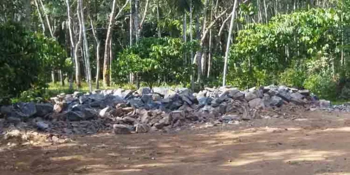 തണ്ണിത്തോട്ടിൽ അനധികൃതമായി പൊട്ടിച്ച് മാറ്റിയ പാറ സ്ഥലത്ത് നിന്നും നീക്കം ചെയ്തു തണ്ണിത്തോട്ടിൽ അനധികൃതമായി പൊട്ടിച്ച് മാറ്റിയ പാറ സ്ഥലത്ത് നിന്നും നീക്കം ചെയ്തു