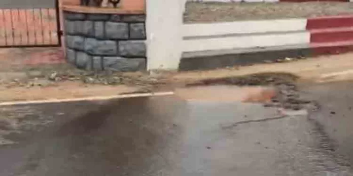 പൈപ്പ് പൊട്ടി റോഡില് വന് ഗര്ത്തം രൂപപെട്ടു പൈപ്പ് പൊട്ടി റോഡില് വന് ഗര്ത്തം രൂപപെട്ടു