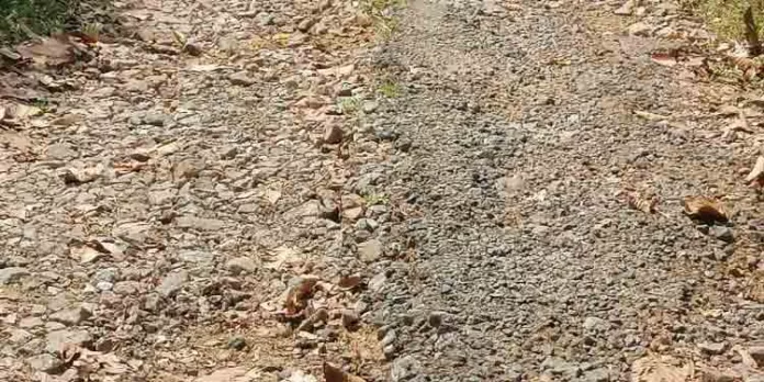 ജനപ്രതിനിധികളും രാഷ്ട്രീയക്കാരും അറിയാന് ഞങ്ങള് കുറച്ചു വോട്ടര്മാരിവിടുണ്ട് ജനപ്രതിനിധികളും രാഷ്ട്രീയക്കാരും അറിയാന് ഞങ്ങള് കുറച്ചു വോട്ടര്മാരിവിടുണ്ട്