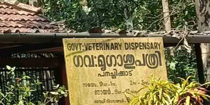 എരുമക്കുട്ടിയുടെ പോസ്റ്റുമോർട്ടം നടത്താൻ കൈക്കൂലി : വനിതാ ഡോക്ടറെ 15 ദിവസത്തേക്ക് റിമാൻഡ് ചെയ്തു എരുമക്കുട്ടിയുടെ പോസ്റ്റുമോർട്ടം നടത്താൻ കൈക്കൂലി : വനിതാ ഡോക്ടറെ 15 ദിവസത്തേക്ക് റിമാൻഡ് ചെയ്തു