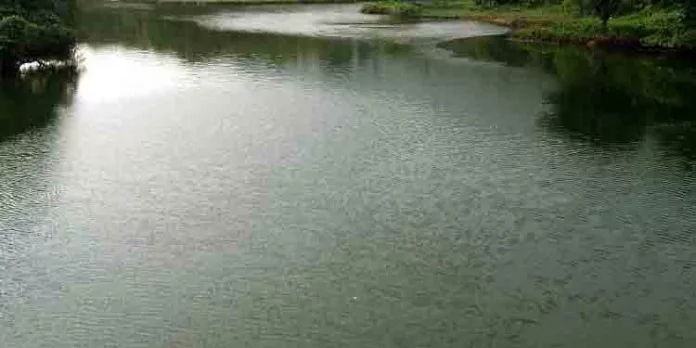 അടിമാലിയില് നിന്നും കാണാതായ വയോധികന്റെ മൃതദേഹം കാഞ്ഞാര് പുഴയില് കണ്ടെത്തി അടിമാലിയില് നിന്നും കാണാതായ വയോധികന്റെ മൃതദേഹം കാഞ്ഞാര് പുഴയില് കണ്ടെത്തി