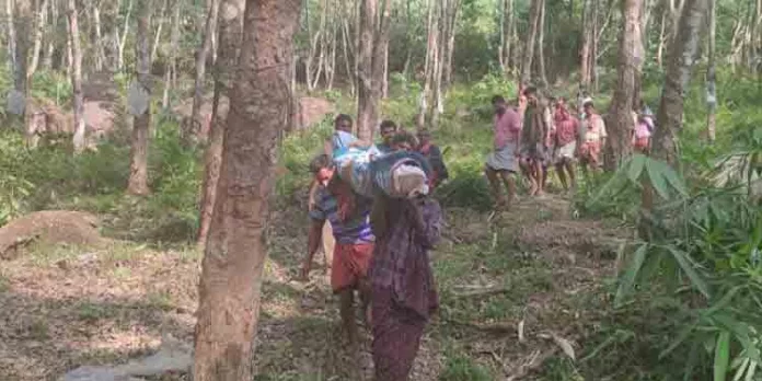 കാട്ടുപോത്തിന്റെ ആക്രമണത്തിൽ ആദിവാസി കൊല്ലപ്പെട്ടു കാട്ടുപോത്തിന്റെ ആക്രമണത്തിൽ ആദിവാസി കൊല്ലപ്പെട്ടു
