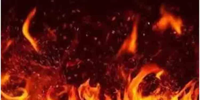 മദ്യലഹരിയില് വീടിന് തീ കൊളുത്തി ; തൊടുപുഴയില് മധ്യവയസ്കന് ദാരുണാന്ത്യം മദ്യലഹരിയില് വീടിന് തീ കൊളുത്തി ; തൊടുപുഴയില് മധ്യവയസ്കന് ദാരുണാന്ത്യം