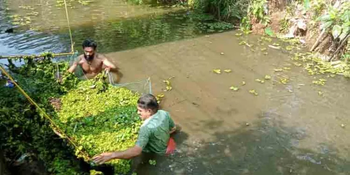 തലവടി തെക്കെ കരയിൽ ജലക്ഷാമം രൂക്ഷം ; ഒടുവിൽ തോട്ടിലെ മാലിന്യങ്ങൾ യുവാക്കൾ നീക്കി തലവടി തെക്കെ കരയിൽ ജലക്ഷാമം രൂക്ഷം ; ഒടുവിൽ തോട്ടിലെ മാലിന്യങ്ങൾ യുവാക്കൾ നീക്കി