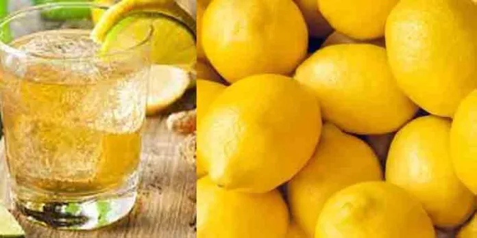 വേനല് കടുത്തു ബോംജി വെള്ളവും പൊള്ളും… നാരങ്ങ കിലോ 120ല് എത്തി വേനല് കടുത്തു ബോംജി വെള്ളവും പൊള്ളും… നാരങ്ങ കിലോ 120ല് എത്തി
