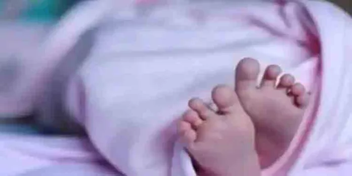 പാലക്കാട് അട്ടപ്പാടിയില് വീണ്ടും നവജാതശിശു മരണം പാലക്കാട് അട്ടപ്പാടിയില് വീണ്ടും നവജാതശിശു മരണം