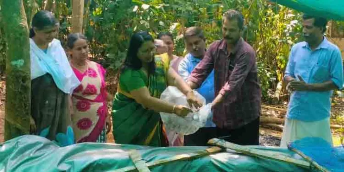 മുറ്റത്തൊരുമീൻതോട്ടം പദ്ധതി : ഉദ്ഘാടനം ചെയ്തു മുറ്റത്തൊരുമീൻതോട്ടം പദ്ധതി : ഉദ്ഘാടനം ചെയ്തു