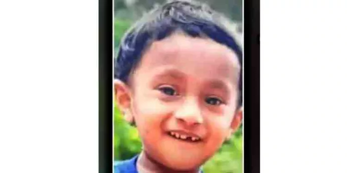 കാട്ടുപന്നി കുറുകെ ചാടി ; ഓട്ടോ മറിഞ്ഞുണ്ടായ അപകടത്തിൽ നാലര വയസ്സുകാരന് ദാരുണാന്ത്യം കാട്ടുപന്നി കുറുകെ ചാടി ; ഓട്ടോ മറിഞ്ഞുണ്ടായ അപകടത്തിൽ നാലര വയസ്സുകാരന് ദാരുണാന്ത്യം