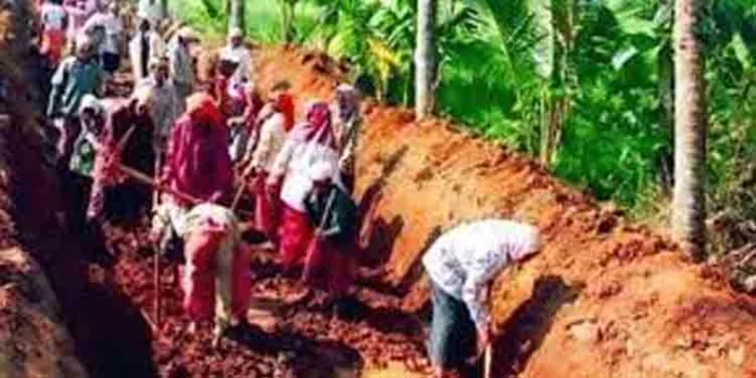 തൊഴിലുറപ്പ് പദ്ധതിയിലെ പണം അടിച്ചുമാറ്റി ; വെട്ടിപ്പ് പിടിച്ചതോടെ പണം തിരിച്ചടച്ച് തലയൂരാനും ശ്രമം തൊഴിലുറപ്പ് പദ്ധതിയിലെ പണം അടിച്ചുമാറ്റി ; വെട്ടിപ്പ് പിടിച്ചതോടെ പണം തിരിച്ചടച്ച് തലയൂരാനും ശ്രമം