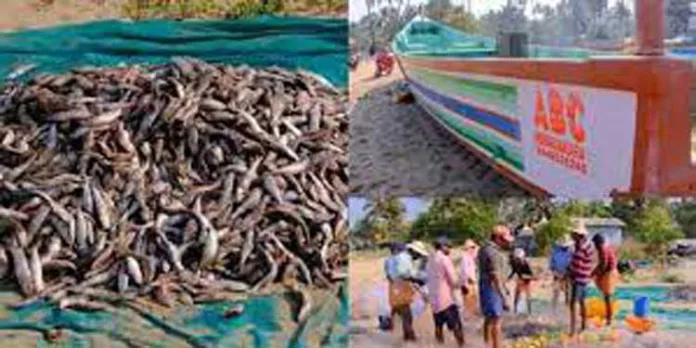 കയ്പമംഗലം വഞ്ചിപ്പുര ബീച്ചില് മത്സ്യ ബന്ധനം കഴിഞ്ഞ് മടങ്ങിയ വള്ളം മറിഞ്ഞ് തൊഴിലാളിക്ക് പരിക്ക് കയ്പമംഗലം വഞ്ചിപ്പുര ബീച്ചില് മത്സ്യ ബന്ധനം കഴിഞ്ഞ് മടങ്ങിയ വള്ളം മറിഞ്ഞ് തൊഴിലാളിക്ക് പരിക്ക്