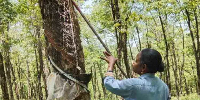 ഈ.പി.എഫ് പെന്ഷന് പദ്ധതിയിലെ അശാസ്ത്രീയത : പെന്ഷന് തുക ലഭിക്കാതെ ഒരു വിഭാഗം ഈ.പി.എഫ് പെന്ഷന് പദ്ധതിയിലെ അശാസ്ത്രീയത : പെന്ഷന് തുക ലഭിക്കാതെ ഒരു വിഭാഗം