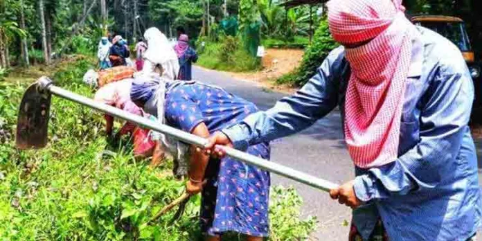 തൊഴിലുറപ്പ് ജോലി തട്ടിപ്പില് വിജിലന്സ് അന്വേഷണത്തിന് ശുപാര്ശ തൊഴിലുറപ്പ് ജോലി തട്ടിപ്പില് വിജിലന്സ് അന്വേഷണത്തിന് ശുപാര്ശ