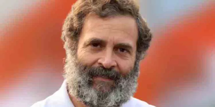 ഇന്ത്യയുടെ ശബ്ദത്തിനായാണ് തന്റെ പോരാട്ടമെന്ന് രാഹുല്ഗാന്ധി ഇന്ത്യയുടെ ശബ്ദത്തിനായാണ് തന്റെ പോരാട്ടമെന്ന് രാഹുല്ഗാന്ധി
