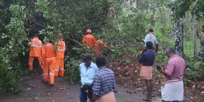 ശക്തമായ മഴയിലും കാറ്റിലും റാന്നിയുടെ വിവിധ മേഖലകളിൽ വ്യാപക നാശം ശക്തമായ മഴയിലും കാറ്റിലും റാന്നിയുടെ വിവിധ മേഖലകളിൽ വ്യാപക നാശം
