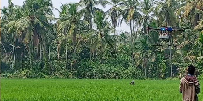 കോഴിക്കോട് നെല്പാടത്ത് വളം വിതറാന് ഡ്രോണ് പരീക്ഷണം കോഴിക്കോട് നെല്പാടത്ത് വളം വിതറാന് ഡ്രോണ് പരീക്ഷണം