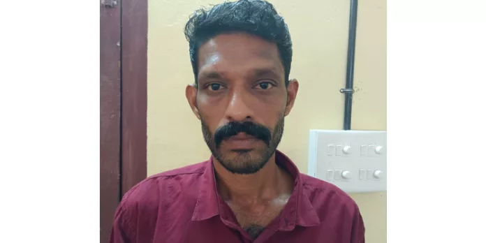 അമ്മയെ മർദ്ദിച്ച കേസിൽ മകനെ പിടികൂടി അമ്മയെ മർദ്ദിച്ച കേസിൽ മകനെ പിടികൂടി