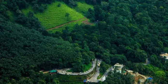 വയനാട്ടില് കുട്ടികളെയും കൂട്ടി കാടിനകത്ത് യുവാവിന്റെ ആത്മഹത്യ ഭീഷണി വയനാട്ടില് കുട്ടികളെയും കൂട്ടി കാടിനകത്ത് യുവാവിന്റെ ആത്മഹത്യ ഭീഷണി