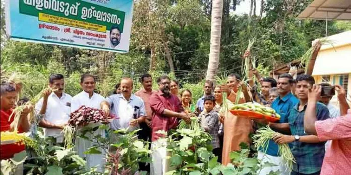 കൃഷിയുടെ മഹത്വം പുതുതലമുറ തിരിച്ചറിയണം : ഡെപ്യൂട്ടി സ്പീക്കര് കൃഷിയുടെ മഹത്വം പുതുതലമുറ തിരിച്ചറിയണം : ഡെപ്യൂട്ടി സ്പീക്കര്