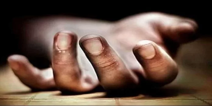 ഇടുക്കിയിൽ മാവിൽ നിന്ന് വീണ് യുവാവ് മരിച്ചു ഇടുക്കിയിൽ മാവിൽ നിന്ന് വീണ് യുവാവ് മരിച്ചു