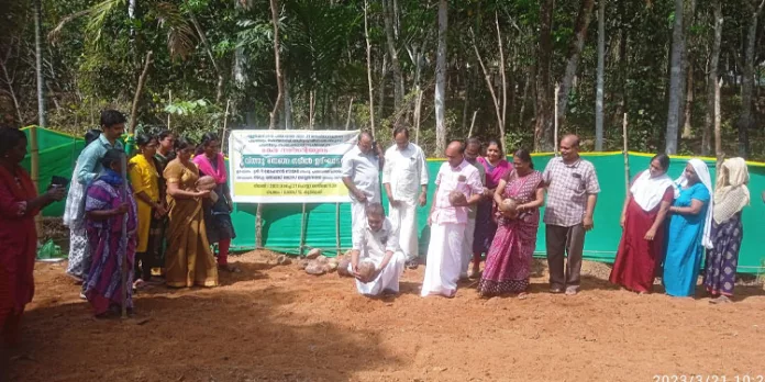 തെങ്ങിന്തൈ നേഴ്സറിയുടെ ഉദ്ഘാടനം നടന്നു തെങ്ങിന്തൈ നേഴ്സറിയുടെ ഉദ്ഘാടനം നടന്നു