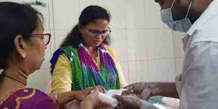 കെ.കെ രമയുടെ കൈക്ക് ഗുരുതര പരുക്ക് ; എട്ടാഴ്ചത്തെ വിശ്രമം നിര്ദേശിച്ച് ഡോക്ടര്മാര് കെ.കെ രമയുടെ കൈക്ക് ഗുരുതര പരുക്ക് ; എട്ടാഴ്ചത്തെ വിശ്രമം നിര്ദേശിച്ച് ഡോക്ടര്മാര്