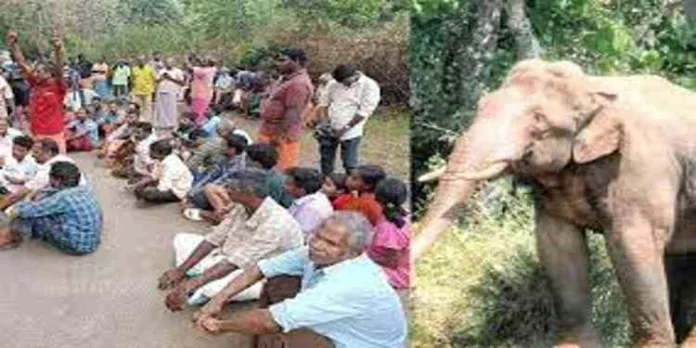 അരിക്കൊമ്പനെ പൂട്ടും വരെ ശക്തമായ സമരവുമായി നാട്ടുകാർ മുന്നോട്ട് തന്നെ ; ഇന്ന് പൂപ്പാറയിൽ ധർണ അരിക്കൊമ്പനെ പൂട്ടും വരെ ശക്തമായ സമരവുമായി നാട്ടുകാർ മുന്നോട്ട് തന്നെ ; ഇന്ന് പൂപ്പാറയിൽ ധർണ
