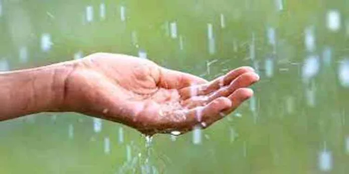 ചൂടിന് ആശ്വാസമായി വേനൽ മഴ എത്തിയേക്കും ; അടുത്ത 5 ദിവസങ്ങളിൽ മഴയെത്തുമെന്ന് പ്രവചനം ചൂടിന് ആശ്വാസമായി വേനൽ മഴ എത്തിയേക്കും ; അടുത്ത 5 ദിവസങ്ങളിൽ മഴയെത്തുമെന്ന് പ്രവചനം