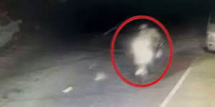 മൂലവിളാകത്ത് സ്ത്രീ ആക്രമിക്കപ്പെട്ടിട്ട് 12 ദിവസം ; ആക്രമണത്തിന്റെ സിസിടിവി ദൃശ്യം പുറത്ത് മൂലവിളാകത്ത് സ്ത്രീ ആക്രമിക്കപ്പെട്ടിട്ട് 12 ദിവസം ; ആക്രമണത്തിന്റെ സിസിടിവി ദൃശ്യം പുറത്ത്