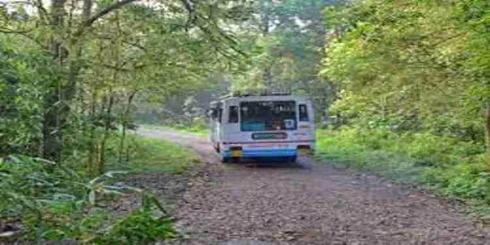 വനംവകുപ്പിന്റെ അടവി – ഗവി യാത്ര വിപുലപ്പെടുത്താൻ ആലോചന വനംവകുപ്പിന്റെ അടവി – ഗവി യാത്ര വിപുലപ്പെടുത്താൻ ആലോചന
