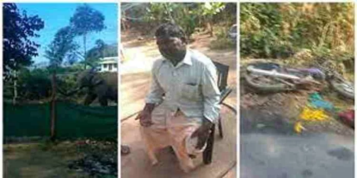 ഇടുക്കിയിൽ കാട്ടാനയെ കണ്ട് ഭയന്ന് ബൈക്കിൽ നിന്നും വീണ് ഒരാൾക്ക് പരുക്ക് ഇടുക്കിയിൽ കാട്ടാനയെ കണ്ട് ഭയന്ന് ബൈക്കിൽ നിന്നും വീണ് ഒരാൾക്ക് പരുക്ക്