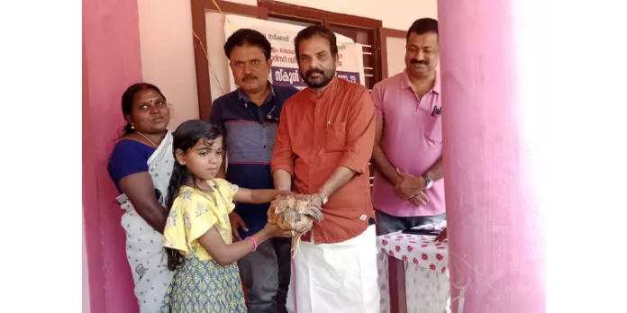 സ്കൂള് പൗള്ട്രി ക്ലബിലെ കുട്ടികള്ക്ക് കോഴിക്കുഞ്ഞുങ്ങളെ വിതരണം ചെയ്തു സ്കൂള് പൗള്ട്രി ക്ലബിലെ കുട്ടികള്ക്ക് കോഴിക്കുഞ്ഞുങ്ങളെ വിതരണം ചെയ്തു